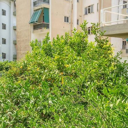 Alimos Sun-Filled Apartment أثينا المظهر الخارجي الصورة